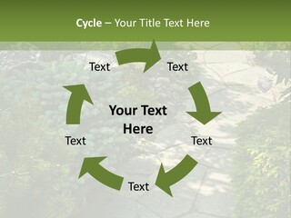 A Garden With Lots Of Plants And Rocks PowerPoint Template