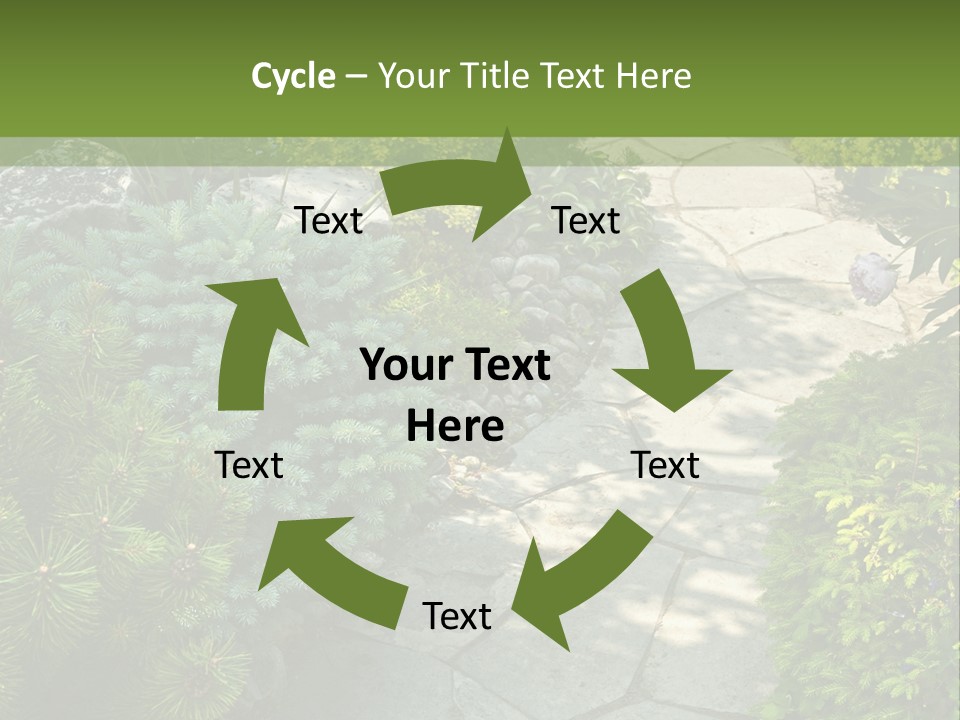 A Garden With Lots Of Plants And Rocks PowerPoint Template