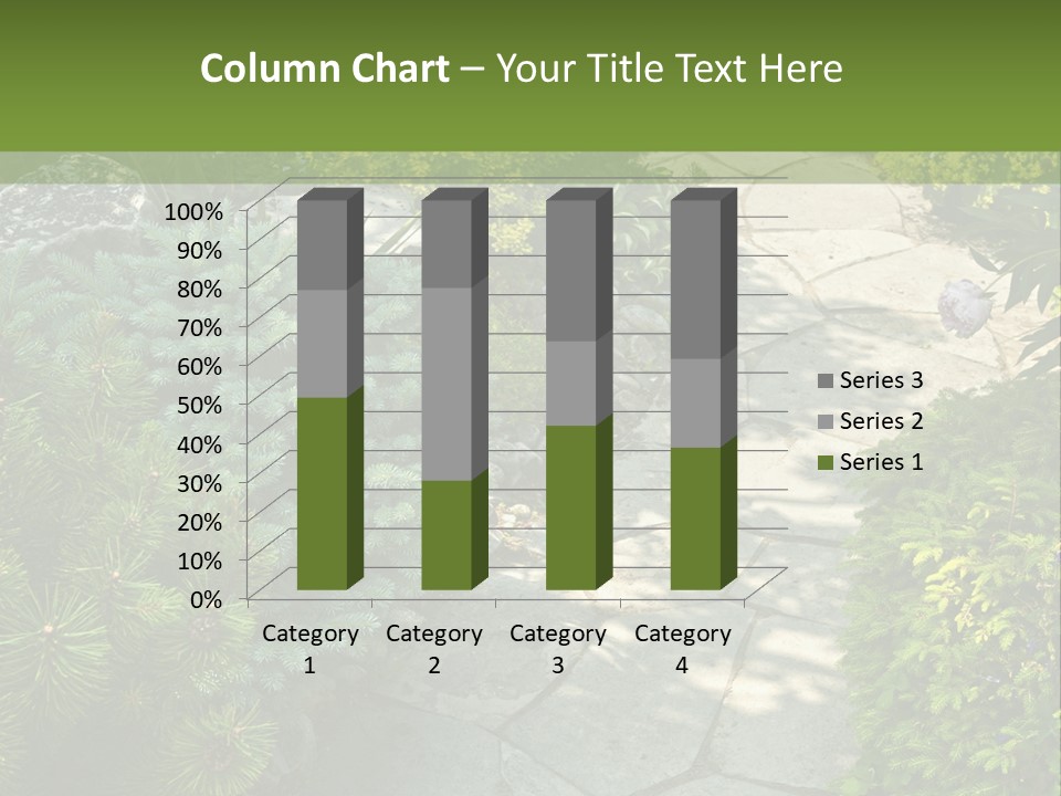 A Garden With Lots Of Plants And Rocks PowerPoint Template