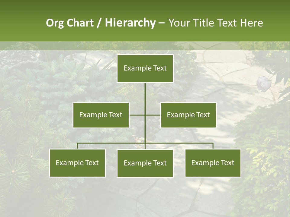 A Garden With Lots Of Plants And Rocks PowerPoint Template