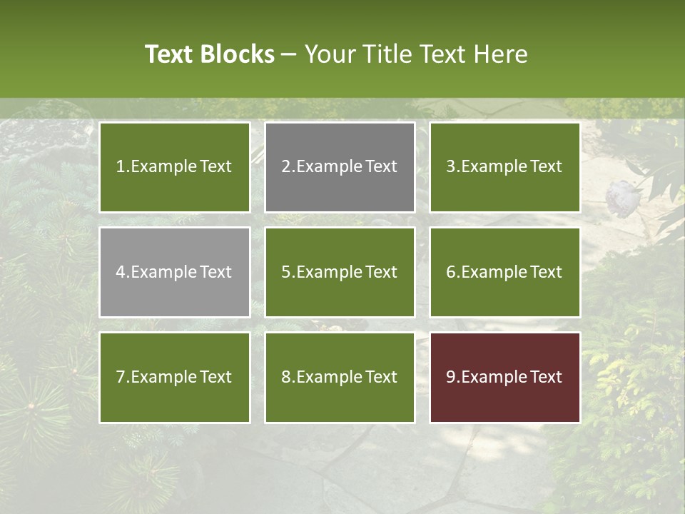 A Garden With Lots Of Plants And Rocks PowerPoint Template