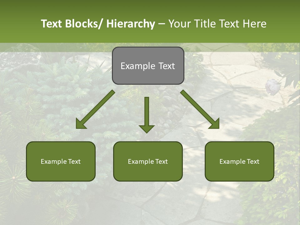 A Garden With Lots Of Plants And Rocks PowerPoint Template