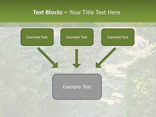 A Garden With Lots Of Plants And Rocks PowerPoint Template