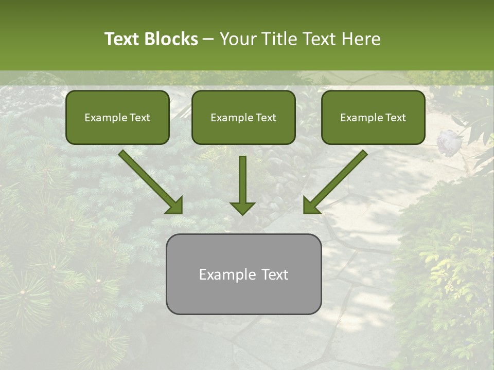 A Garden With Lots Of Plants And Rocks PowerPoint Template