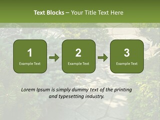 A Garden With Lots Of Plants And Rocks PowerPoint Template