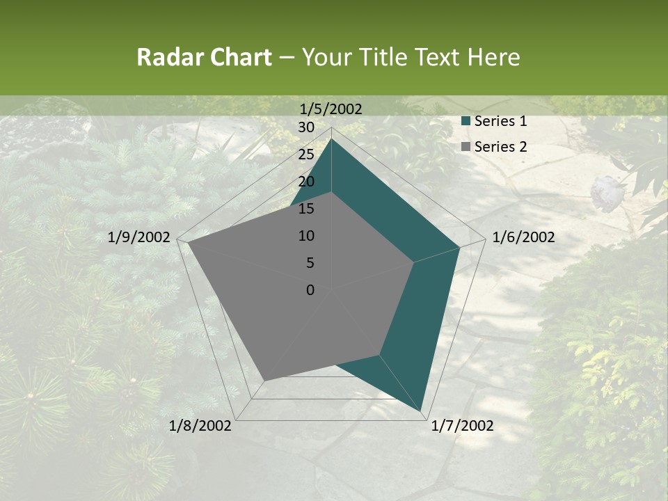 A Garden With Lots Of Plants And Rocks PowerPoint Template