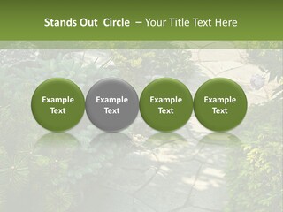 A Garden With Lots Of Plants And Rocks PowerPoint Template