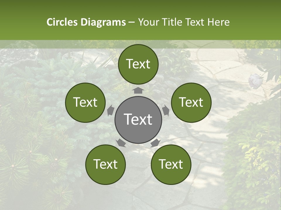 A Garden With Lots Of Plants And Rocks PowerPoint Template