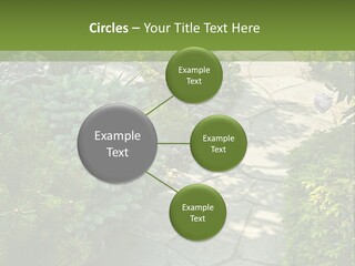 A Garden With Lots Of Plants And Rocks PowerPoint Template