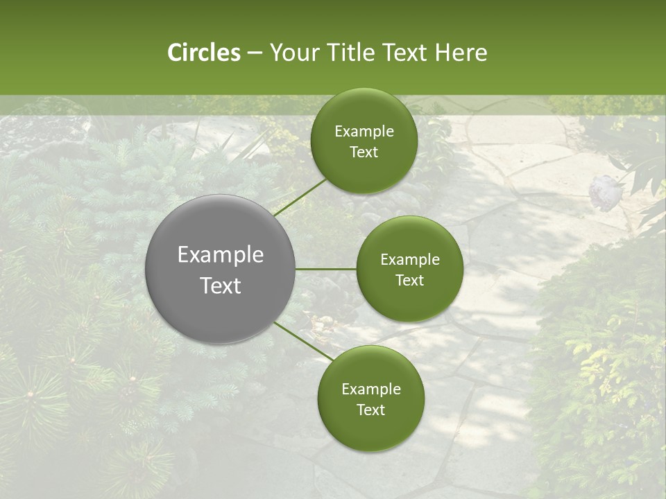 A Garden With Lots Of Plants And Rocks PowerPoint Template