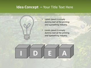 A Garden With Lots Of Plants And Rocks PowerPoint Template