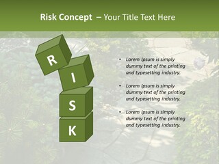 A Garden With Lots Of Plants And Rocks PowerPoint Template