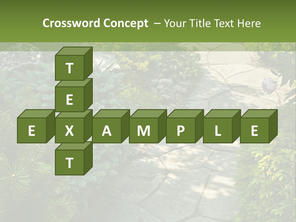 A Garden With Lots Of Plants And Rocks PowerPoint Template