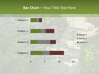 A Garden With Lots Of Plants And Rocks PowerPoint Template