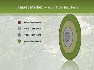 A Garden With Lots Of Plants And Rocks PowerPoint Template