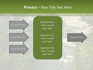 A Garden With Lots Of Plants And Rocks PowerPoint Template
