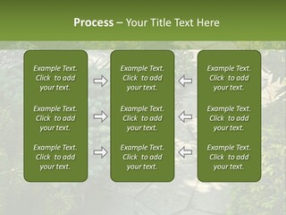 A Garden With Lots Of Plants And Rocks PowerPoint Template