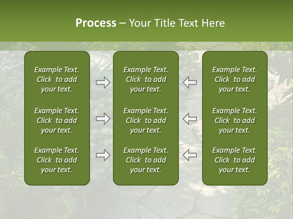 A Garden With Lots Of Plants And Rocks PowerPoint Template