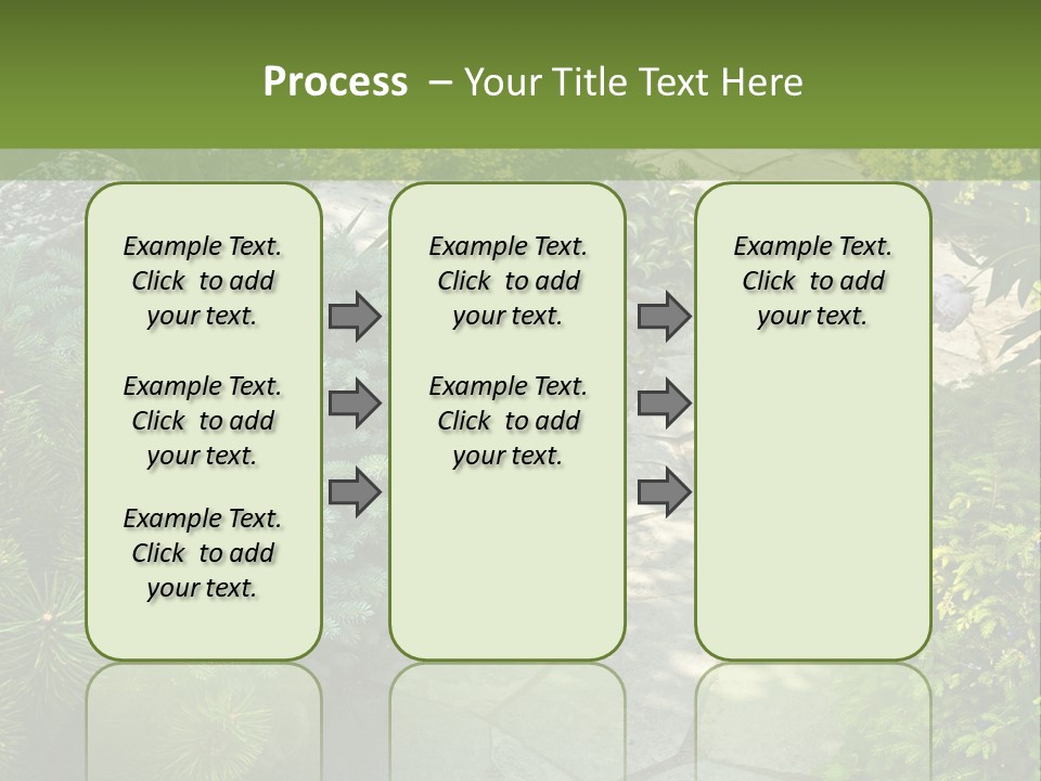 A Garden With Lots Of Plants And Rocks PowerPoint Template
