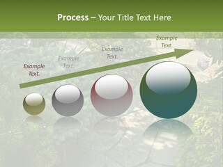 A Garden With Lots Of Plants And Rocks PowerPoint Template