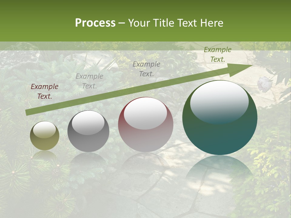 A Garden With Lots Of Plants And Rocks PowerPoint Template