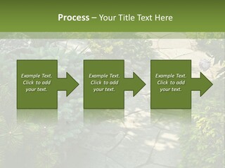 A Garden With Lots Of Plants And Rocks PowerPoint Template