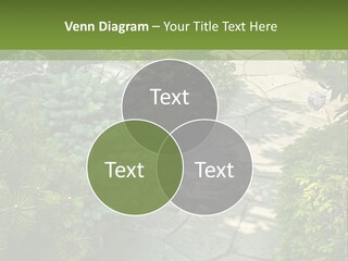 A Garden With Lots Of Plants And Rocks PowerPoint Template