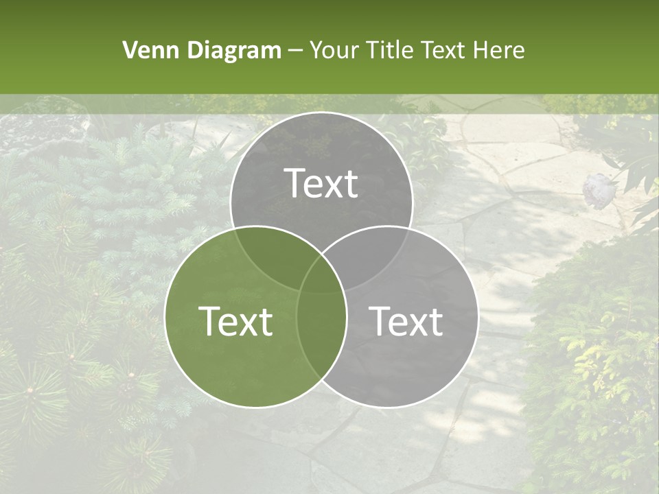 A Garden With Lots Of Plants And Rocks PowerPoint Template