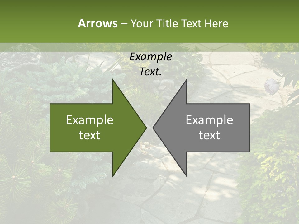 A Garden With Lots Of Plants And Rocks PowerPoint Template