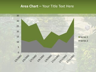 A Garden With Lots Of Plants And Rocks PowerPoint Template