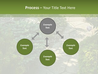 A Garden With Lots Of Plants And Rocks PowerPoint Template