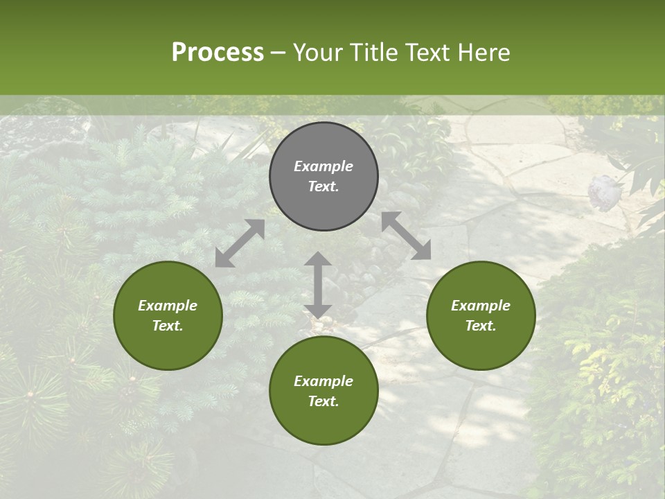 A Garden With Lots Of Plants And Rocks PowerPoint Template