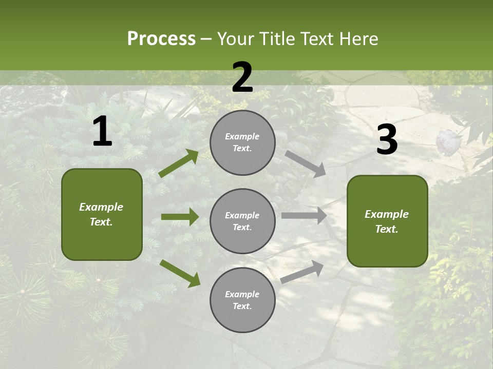 A Garden With Lots Of Plants And Rocks PowerPoint Template