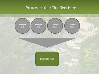 A Garden With Lots Of Plants And Rocks PowerPoint Template