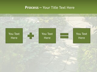 A Garden With Lots Of Plants And Rocks PowerPoint Template