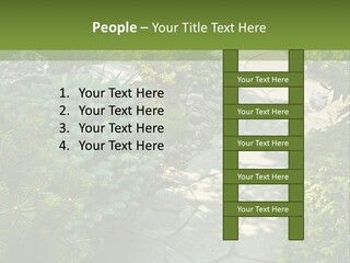 A Garden With Lots Of Plants And Rocks PowerPoint Template