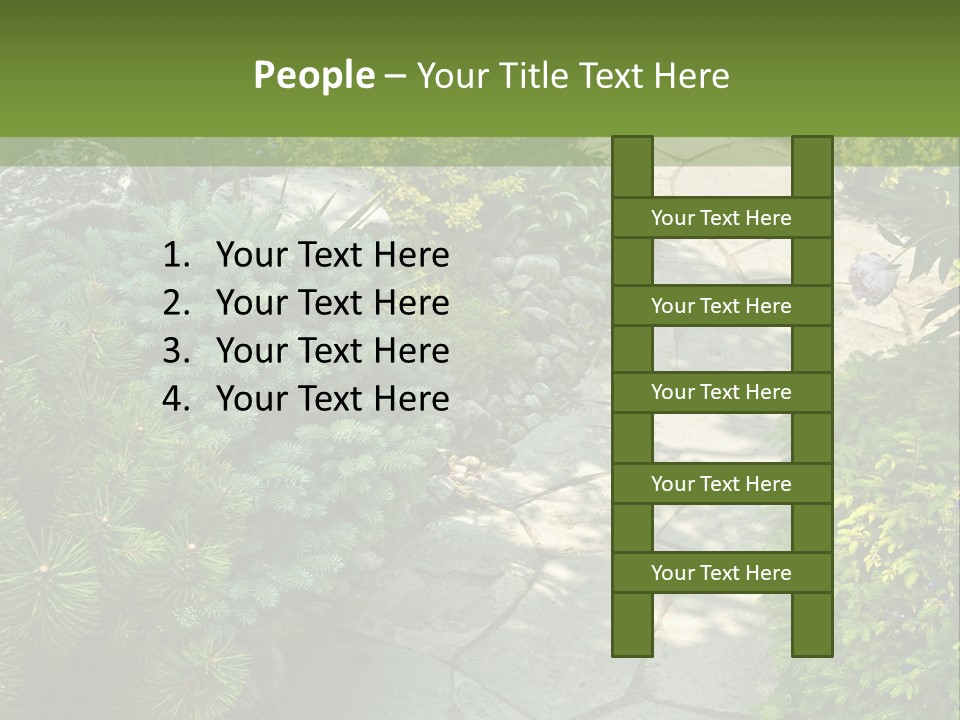 A Garden With Lots Of Plants And Rocks PowerPoint Template