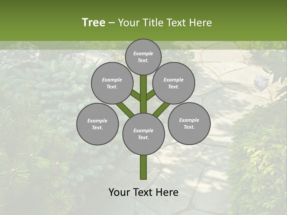 A Garden With Lots Of Plants And Rocks PowerPoint Template