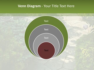 A Garden With Lots Of Plants And Rocks PowerPoint Template