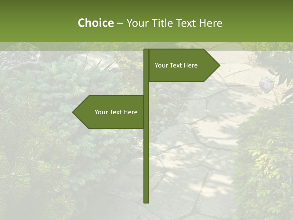 A Garden With Lots Of Plants And Rocks PowerPoint Template