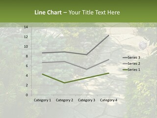 A Garden With Lots Of Plants And Rocks PowerPoint Template