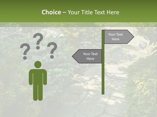 A Garden With Lots Of Plants And Rocks PowerPoint Template