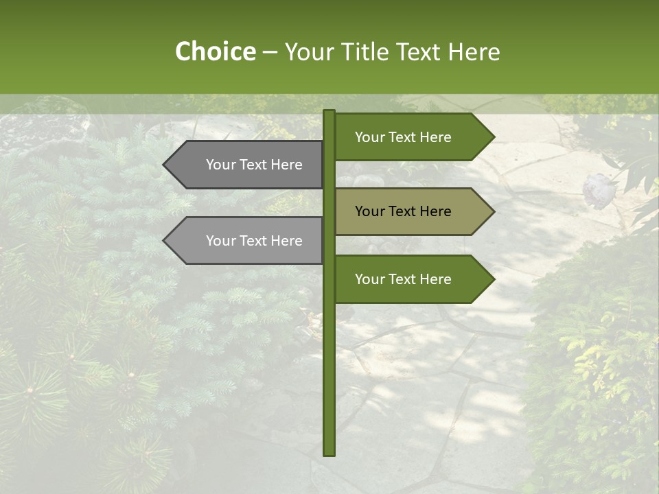 A Garden With Lots Of Plants And Rocks PowerPoint Template