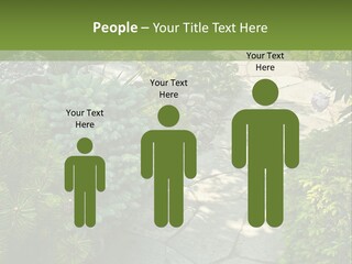 A Garden With Lots Of Plants And Rocks PowerPoint Template