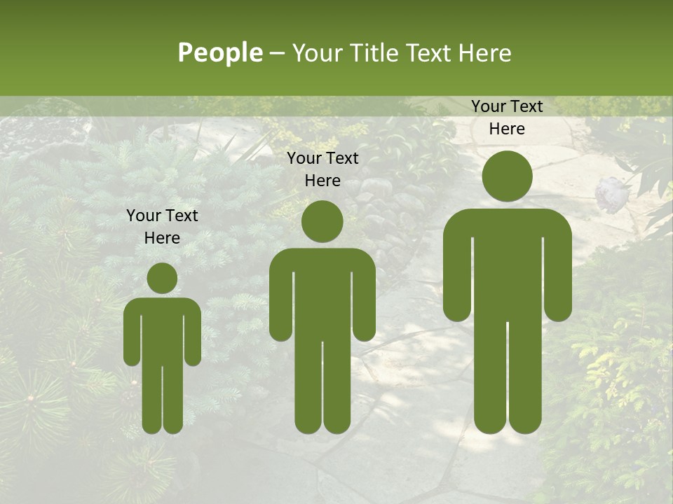 A Garden With Lots Of Plants And Rocks PowerPoint Template