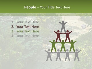 A Garden With Lots Of Plants And Rocks PowerPoint Template