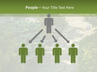 A Garden With Lots Of Plants And Rocks PowerPoint Template