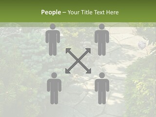 A Garden With Lots Of Plants And Rocks PowerPoint Template