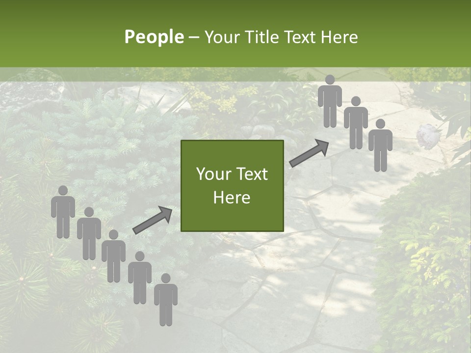 A Garden With Lots Of Plants And Rocks PowerPoint Template