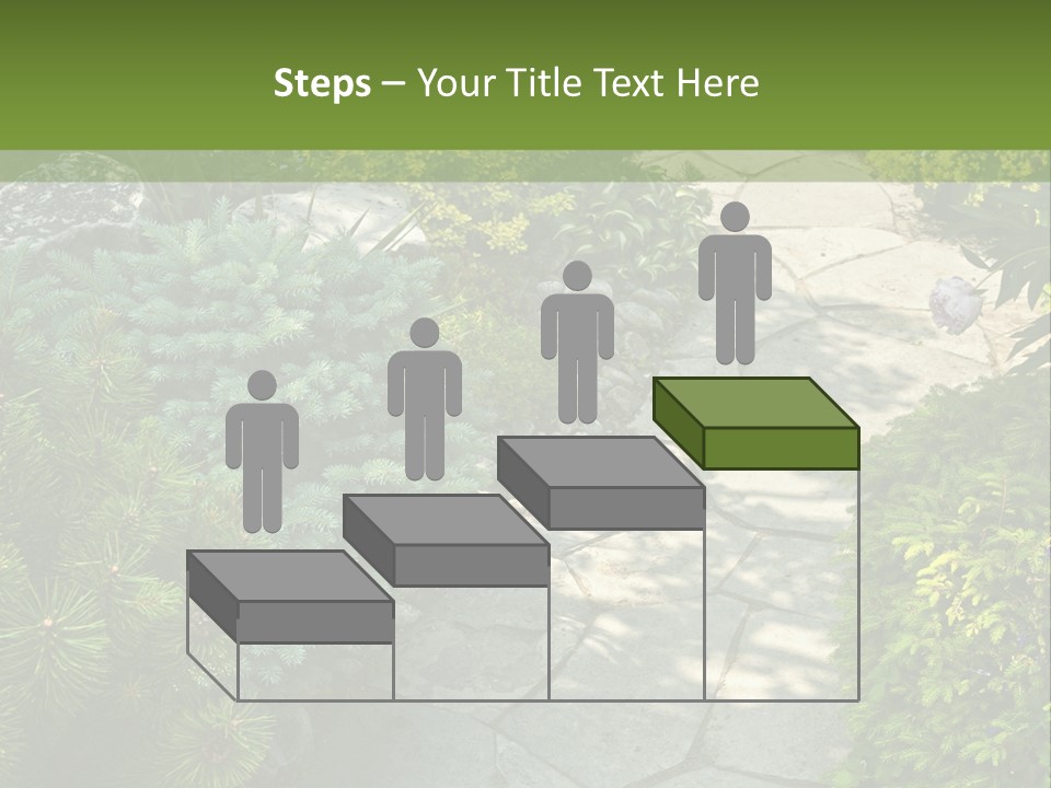 A Garden With Lots Of Plants And Rocks PowerPoint Template